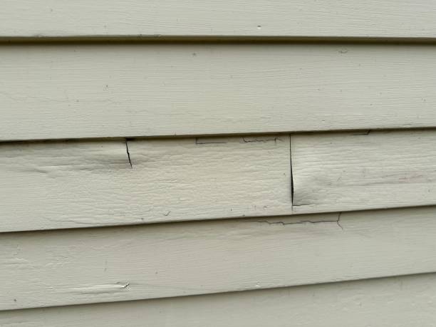 Best Siding Repair  in Cologne, NJ