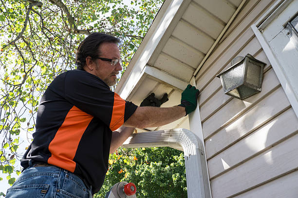 Trusted Cologne, NJ Siding Experts